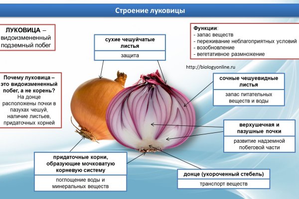 Кракен нар шоп